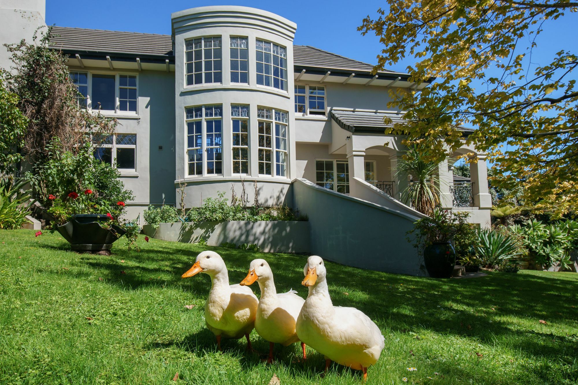 Greenmantle Estate Hotel Paraparaumu Exteriör bild